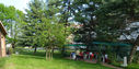 P1030685.jpg